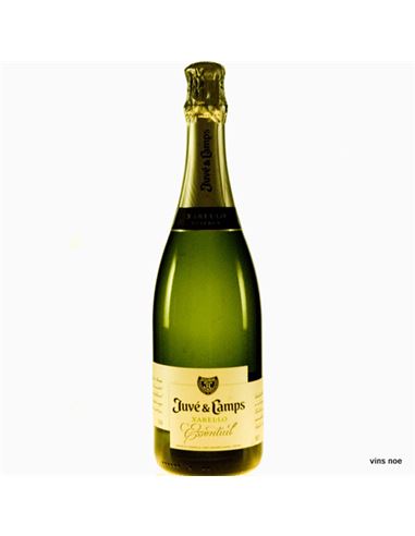 Juvé & Camps Essential Xarel·lo Brut Reserva 2020