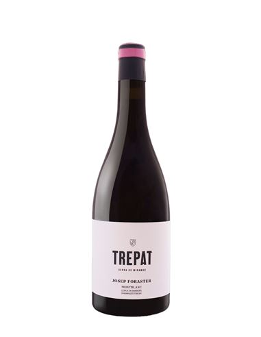 Josep Foraster Trepat 2024