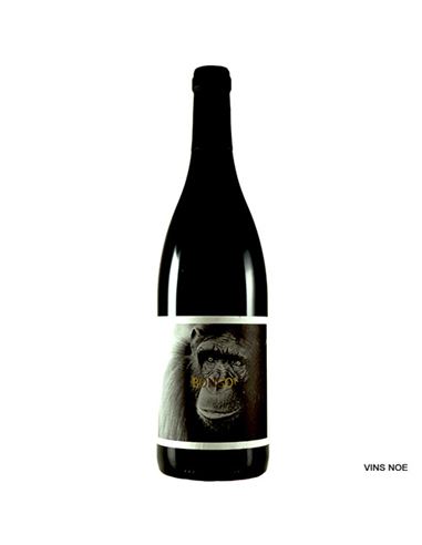 La Vinyeta Mono Negre 2025