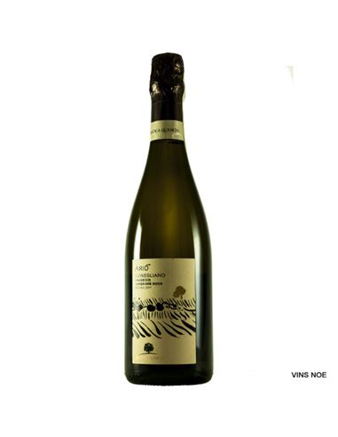 Arió Prosecco Superiore Conegliano Valdobbiadene Extra Dry