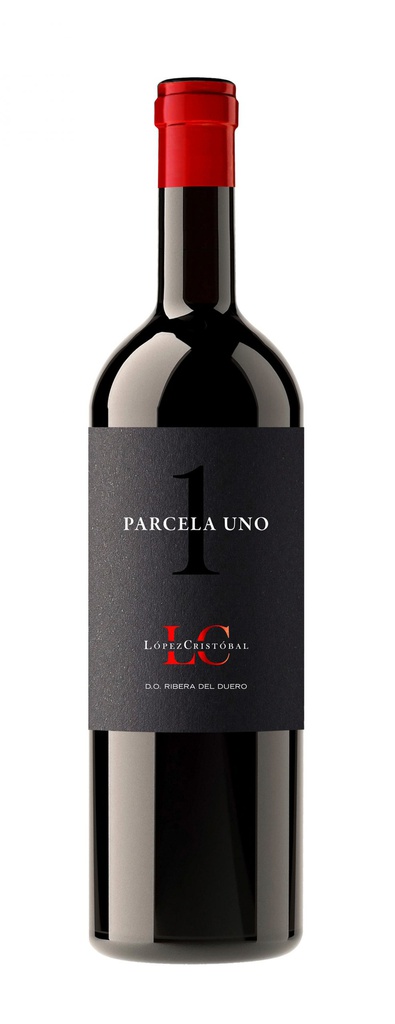 López Cristóbal PARCELA UNO 2021