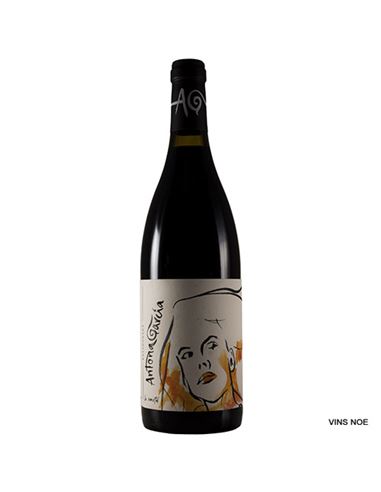 Rejadorada Antona García 2017