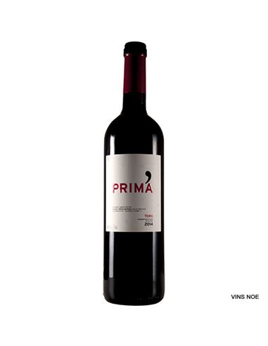 San Román Prima 2022
