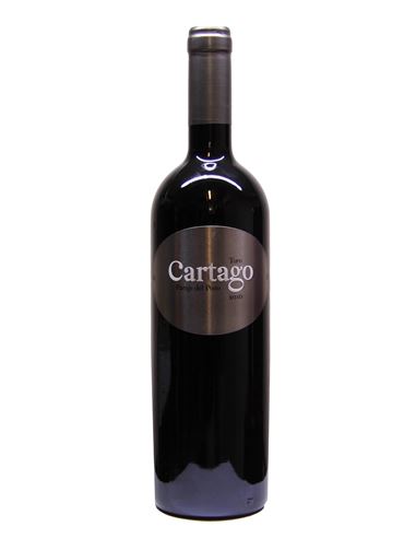 San Román Cartago Paraje del Pozo 2018