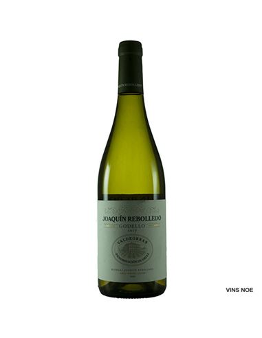 Joaquín Rebolledo Godello 2024