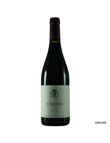 Can Xanet Cadmo 2018