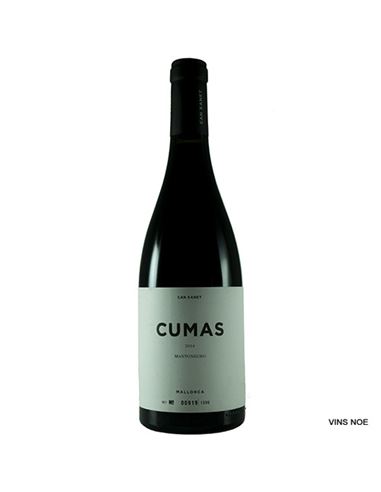 Can Xanet Cumas 2017