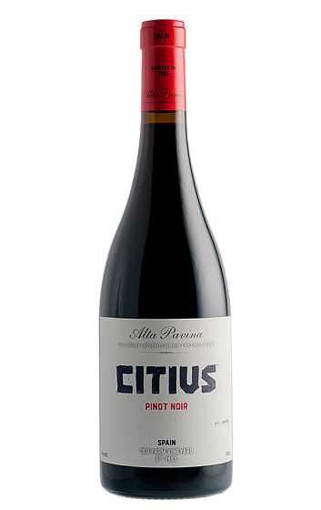Pavina Citius 2018