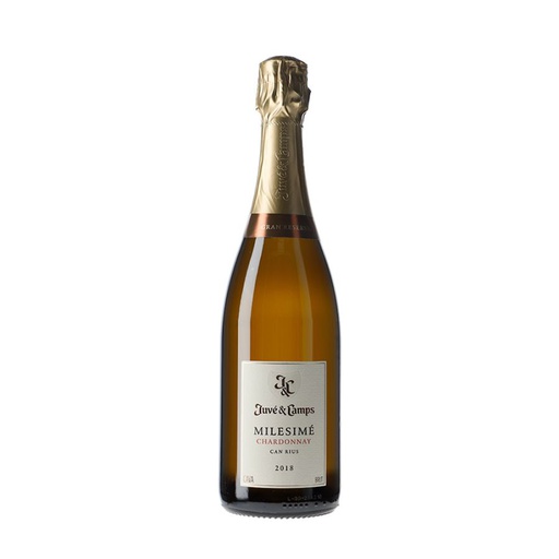 [CAV0261ESB06] Juvé & Camps Milesimé Chardonnay Brut Gran Reserva 2020