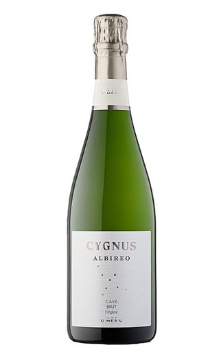 [CAV1071ESB01] Cygnus Albireo Brut
