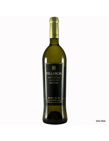 [RBX0696BLA02] Fillaboa Selección Monte Alto 2021