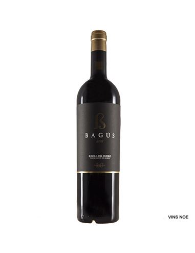 [RDU0753NEG07] López Cristóbal Bagús 2020