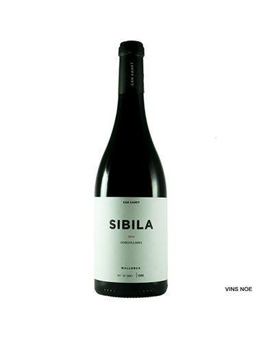 [VTB0837NEG04] Can Xanet Sibila 2019