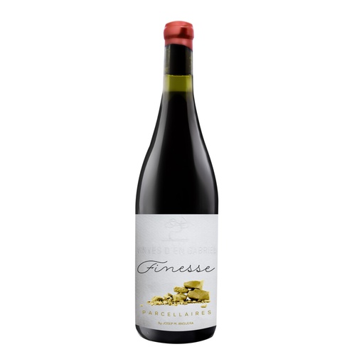 [MTS0461NEG02] Vinyes d'en Gabriel Finesse 2022