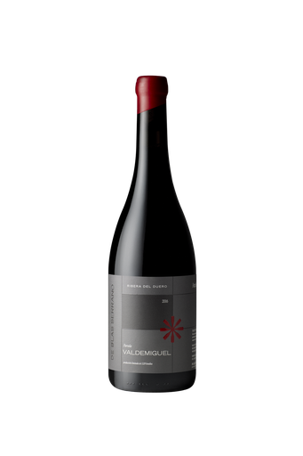 [RDU1083NEG04] De Blas Serrano Parcela VALDEMIGUEL 2016