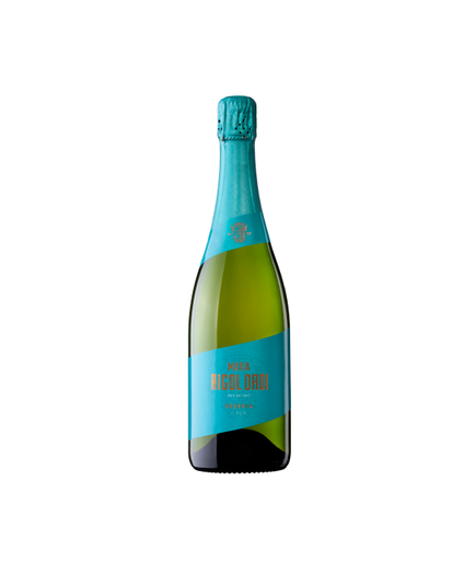 [CAV1153ESB01] Maria Rigol Ordi Reserva Brut Nature 2019